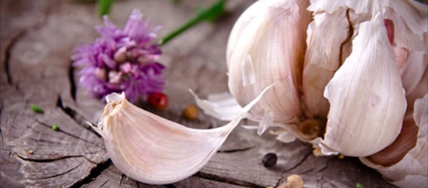 Σκόρδο: Δείτε το λόγο που πρέπει να το καταναλώνουμε καθημερινά (βίντεο)